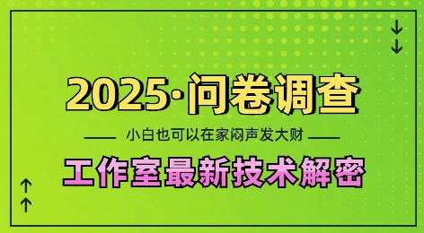 2025问卷调查最新工作室技术解密：一个人在家也可以闷声发大财，小白一天2张，可矩阵放大【揭秘】-苍穹网创