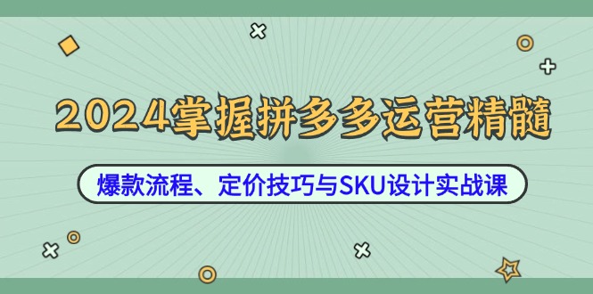 2024掌握拼多多运营精髓：爆款流程、定价技巧与SKU设计实战课-苍穹网创
