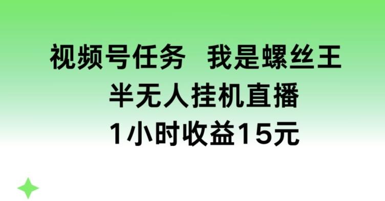 视频号任务，我是螺丝王， 半无人挂机1小时收益15元【揭秘】-苍穹网创