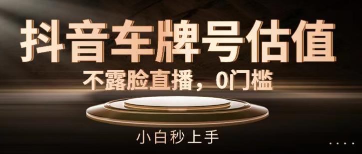 抖音车牌号估值，不露脸直播，0门槛，小白秒上手【揭秘】-苍穹网创