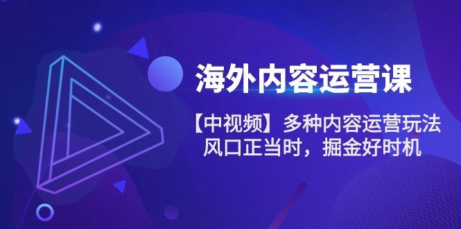 海外内容 运营课【中视频】多种内容运营玩法 风口正当时 掘金好时机-101节-苍穹网创
