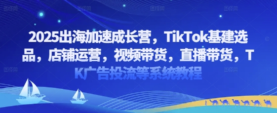 2025出海加速成长营，TikTok基建选品，店铺运营，视频带货，直播带货，TK广告投流等系统教程-苍穹网创