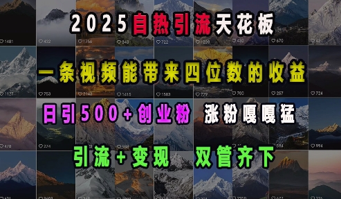 2025自热引流天花板，一条视频能带来四位数的收益，引流+变现双管齐下，日引500+创业粉，涨粉嘎嘎猛-苍穹网创