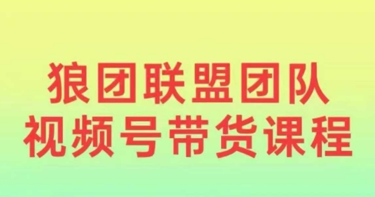 狼团联盟2024视频号带货，0基础小白快速入局视频号-苍穹网创