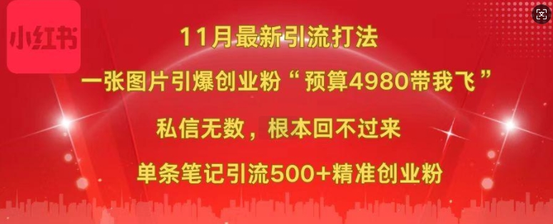 小红书11月最新图片打粉，一张图片引爆创业粉，“预算4980带我飞”，单条引流500+精准创业粉-苍穹网创