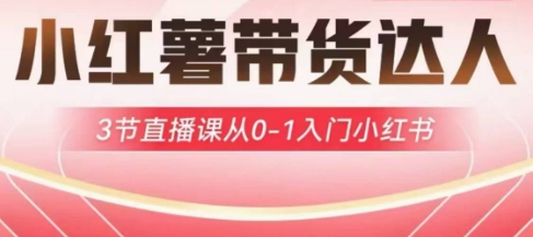 小红薯达人带货启航计划，3节直播课从0-1入门小红书-苍穹网创