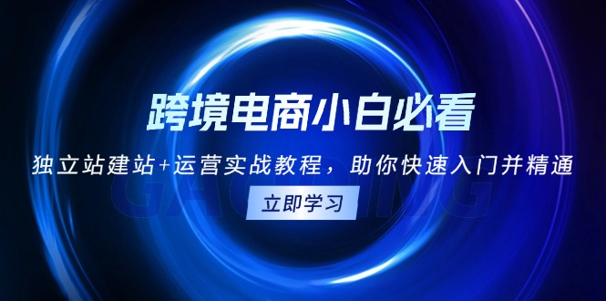 跨境电商小白必看！独立站建站+运营实战教程，助你快速入门并精通-苍穹网创