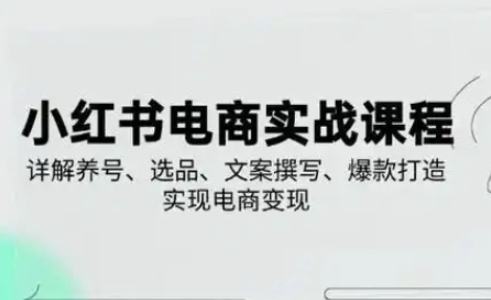 小红书从0-1实操课(2023-2025)，详解养号、选品、文案撰写、爆款打造实现电商变现-苍穹网创