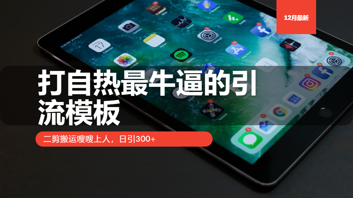 打自热最牛逼的引流模板，二剪搬运嗖嗖上人，日引300+-苍穹网创
