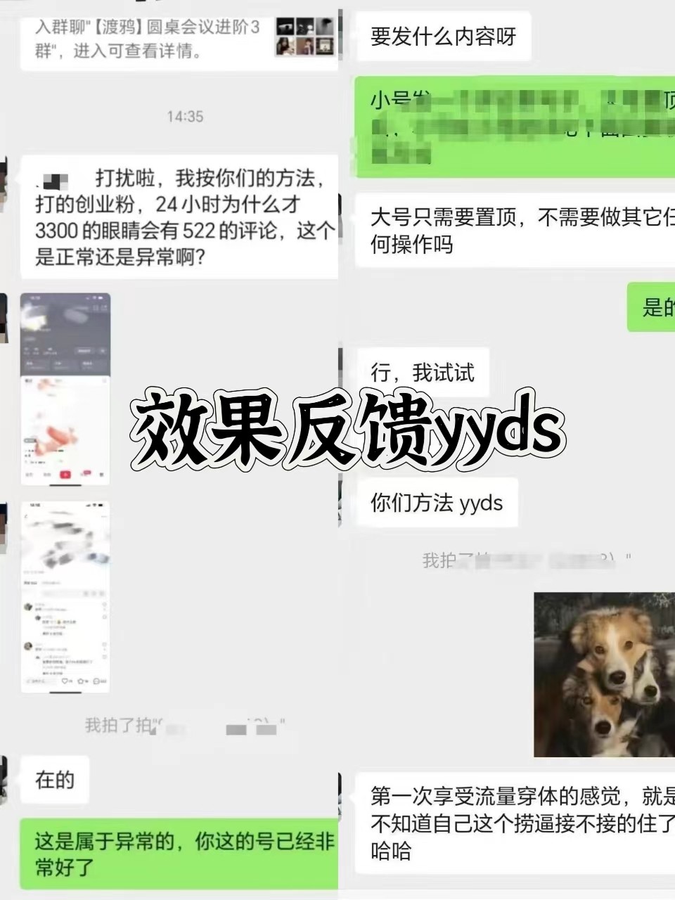 图片[3]-抖音小红书视频号全平台引流打法，全自动引流日引2000+精准客户-苍穹网创