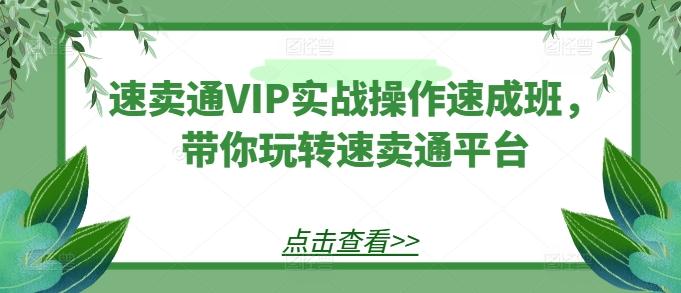 速卖通VIP实战操作速成班，带你玩转速卖通平台-苍穹网创