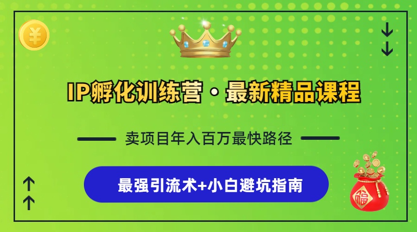IP孵化训练营，知识付费全流程+最强引流术+小白避坑指南-苍穹网创