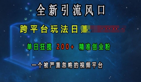 全新引流风口，跨平台玩法日入上k，单日狂揽200+精准创业粉，一个被严重忽略的视频平台-苍穹网创