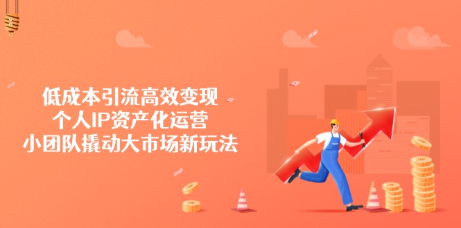 低成本引流高效变现，个人IP资产化运营，小团队撬动大市场新玩法-苍穹网创