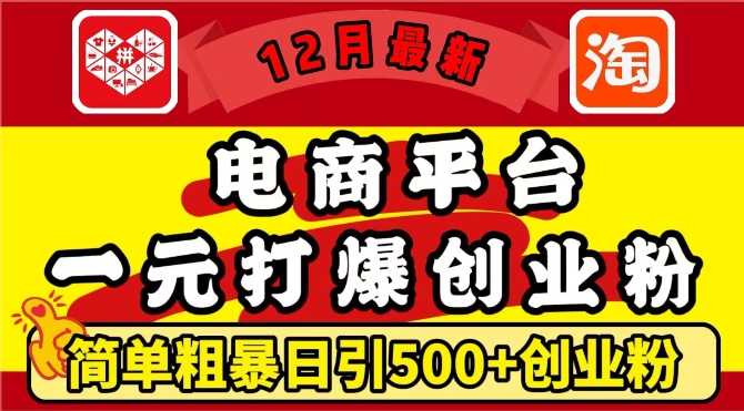 12月最新：电商平台1元打爆创业粉，简单粗暴日引500+精准创业粉，轻松月入过W【揭秘】-苍穹网创