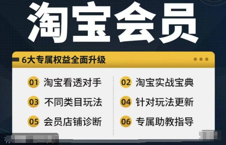淘宝会员【淘宝所有课程，全面分析对手】，初级到高手全系实战宝典-苍穹网创