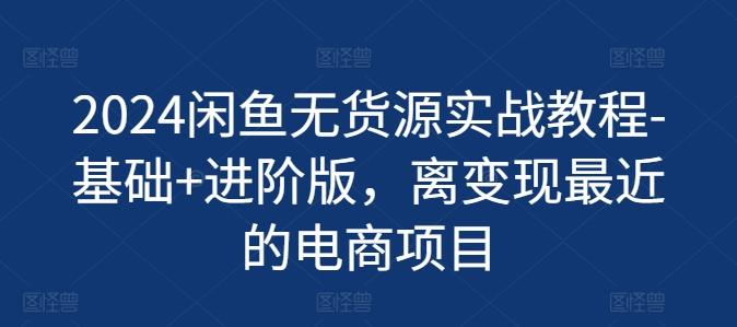2024闲鱼无货源实战教程-基础+进阶版，离变现最近的电商项目-苍穹网创