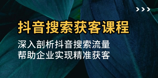 抖音搜索获客课程：深入剖析抖音搜索流量，帮助企业实现精准获客-苍穹网创