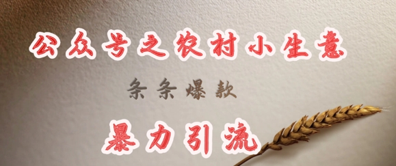 deepseek写农村小项目，条条爆款，暴力引流-苍穹网创