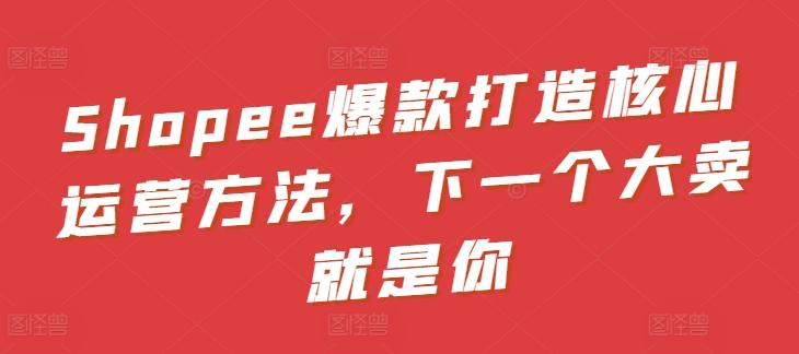 Shopee爆款打造核心运营方法，下一个大卖就是你-苍穹网创