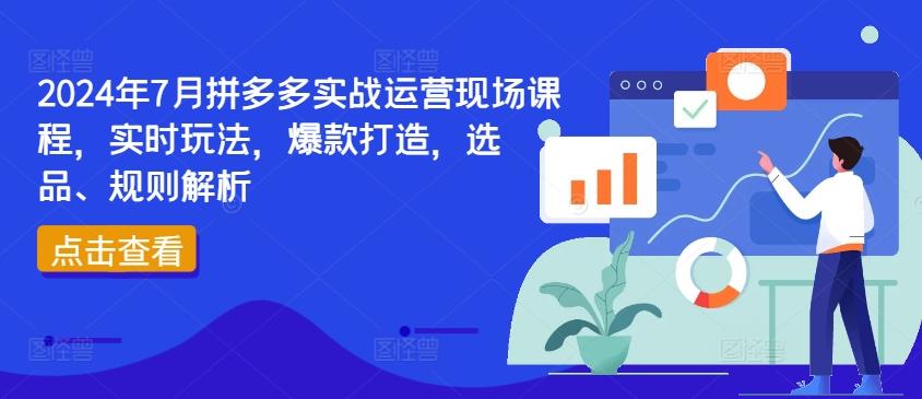 2024年7月拼多多实战运营现场课程，实时玩法，爆款打造，选品、规则解析-苍穹网创