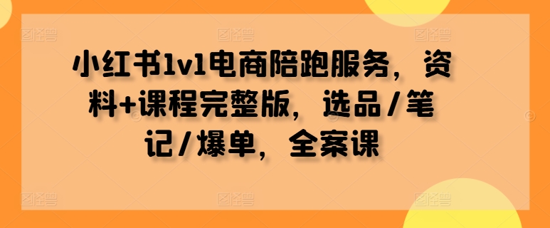 小红书1v1电商陪跑服务，资料+课程完整版，选品/笔记/爆单，全案课-苍穹网创