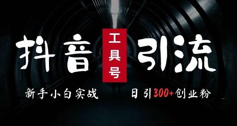 2024最新抖音工具号引流玩法，高效日引300+创业粉，当天变现5k，小白也可成为实战高手-苍穹网创