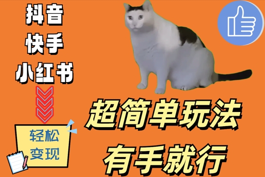 超简单玩法，有手就行，靠猫咪视频日入500+【揭秘】-苍穹网创