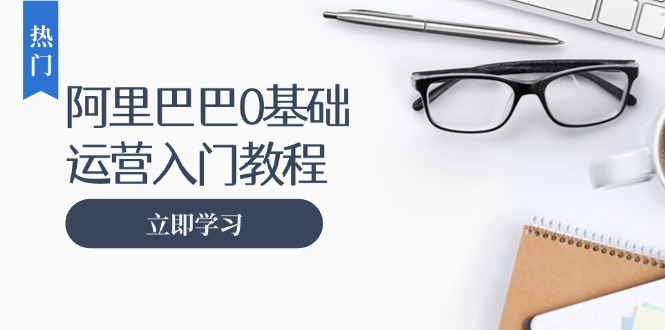 阿里巴巴运营零基础入门教程：涵盖开店、运营、推广，快速成为电商高手-苍穹网创