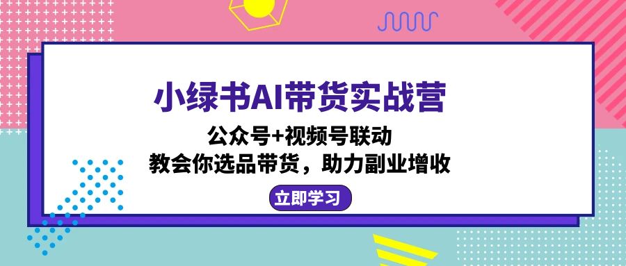 小绿书AI带货实战营：公众号+视频号联动，教会你选品带货，助力副业增收-苍穹网创