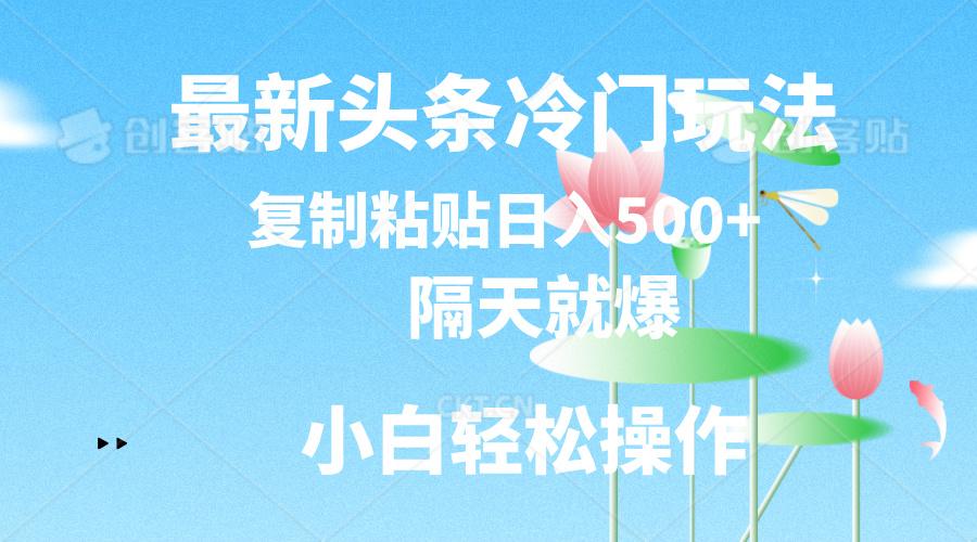最新头条冷门玩法，隔天就爆，复制粘贴日入500+-苍穹网创
