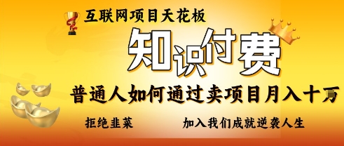 互联网项目天花板，知付付费项目，普通人如何通过卖项目月入十个，拒绝韭菜【揭秘】-苍穹网创