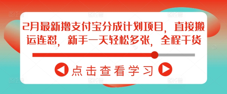 2月最新撸支付宝分成计划项目，直接搬运连怼，新手一天轻松多张，全程干货-苍穹网创
