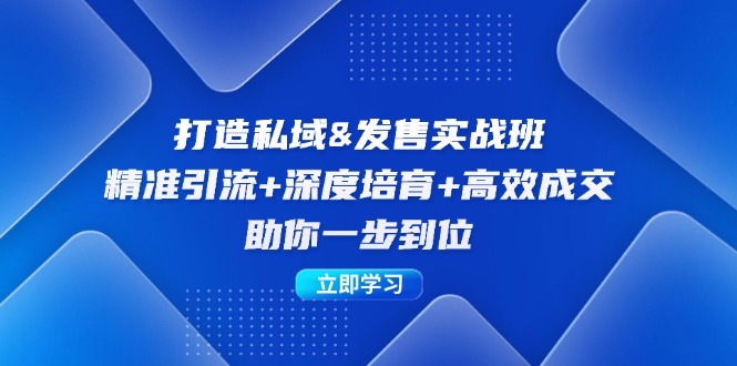 打造私域&发售实操班：精准引流+深度培育+高效成交，助你一步到位-苍穹网创