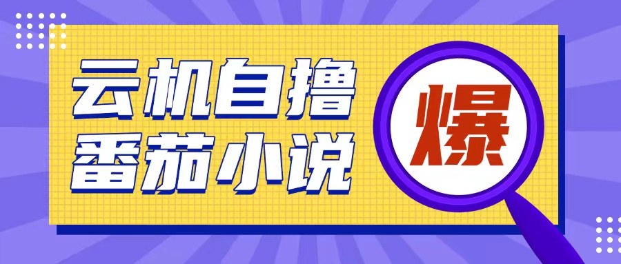 首发云手机自撸小说玩法，10块钱成本可撸200+收益操作简单【揭秘】-苍穹网创