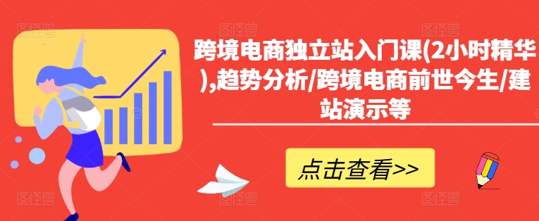 跨境电商独立站入门课(2小时精华),趋势分析/跨境电商前世今生/建站演示等-苍穹网创