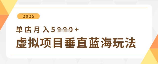 虚拟项目垂直玩法，实现单店月入5k+-苍穹网创