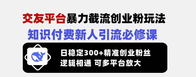 交友平台暴力截流创业粉玩法，知识付费新人引流必修课，日稳定300+精准创业粉丝，逻辑相通可多平台放大-苍穹网创