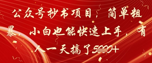 公众号抄书项目，简单粗暴，小白也能快速上手，有人一天搞了1k+-苍穹网创