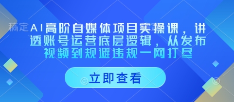 AI高阶自媒体项目实操课，讲透账号运营底层逻辑，从发布视频到规避违规一网打尽-苍穹网创