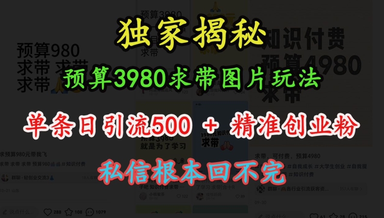 预算3980求带 图片玩法，单条日引流500+精准创业粉，私信根本回不完-苍穹网创