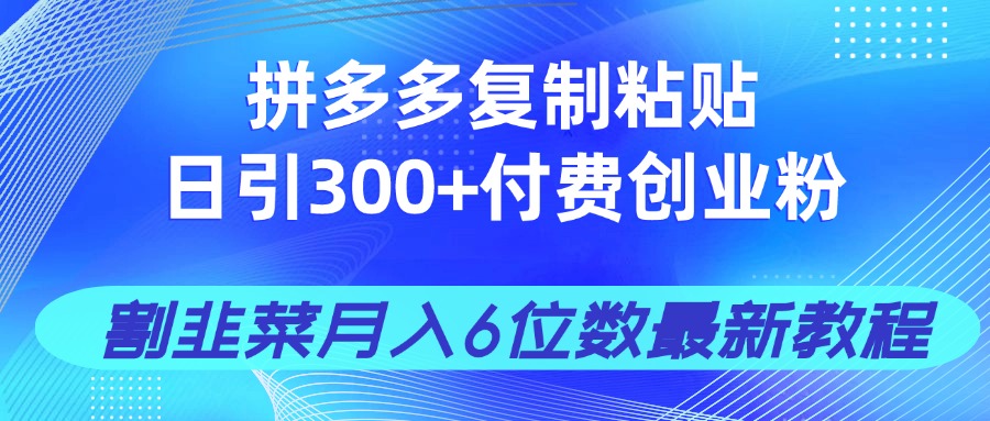 拼多多复制粘贴日引300+付费创业粉，割韭菜月入6位数最新教程！-苍穹网创
