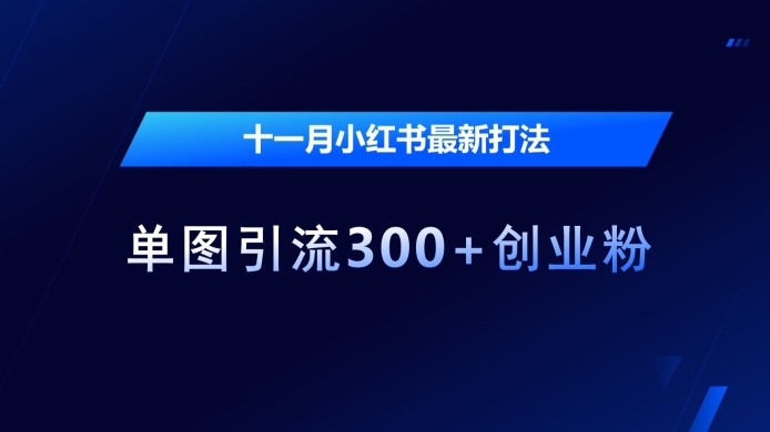 十一月小红书最新打法，单图引流300+创业粉【揭秘】-苍穹网创