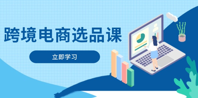 跨境电商选品课：涵盖电动滑板车、健康医疗、电子游戏、厨房用品、宠物等-苍穹网创