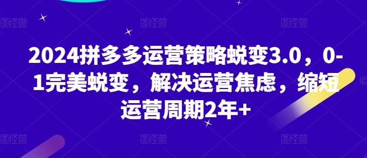 2024拼多多运营策略蜕变3.0，0-1完美蜕变，解决运营焦虑，缩短运营周期2年+-苍穹网创