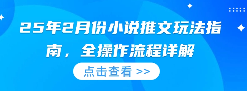 25年2月份小说推文玩法指南，全操作流程详解-苍穹网创