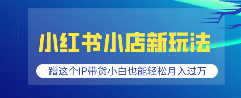 小红书小店新玩法，蹭这个IP带货，小白也能轻松月入过W【揭秘】-苍穹网创