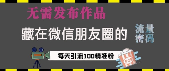 藏在微信朋友圈的流量密码，无需发布作品，单日引流100+精准创业粉【揭秘】-苍穹网创