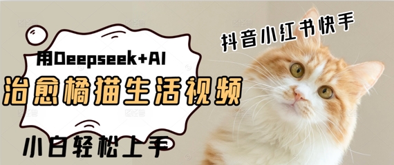疯狂火爆，用Deepseek+AI做治愈橘猫系列视频，小白轻松制作+快速拿到结果-苍穹网创