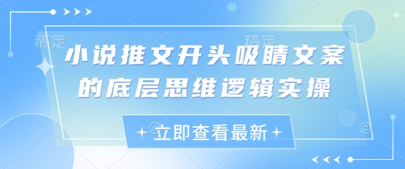 小说推文开头吸睛文案的底层思维逻辑实操-苍穹网创